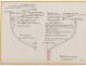PLAN DE CONSTRUCTION - CRUISER  13,50 M (1956)
