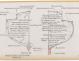PLAN DE CONSTRUCTION - CRUISEUR RAPIDE 10 M (1963)
