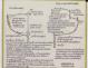 PLAN DE CONSTRUCTION - Logoden VI  sloop de 6 m (1967)