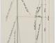 PLAN DE VOILURE/GREEMENT - Locrido, Comores (amateurs) Sloop 10,50 m (1973)