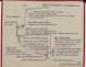 PLAN DE CONSTRUCTION - Vedette 8,60 m (1975)