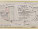 PLAN DE CONSTRUCTION - Otarie  8,00 m (1976)
