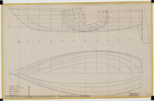 PLAN DE COQUE - HALIBUT (1977)