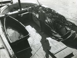Avant d'une pinasse sardinière avec ses plates bateau de type basque. Avant d'une pinasse sardinière avec ses plates bateau de type basque.